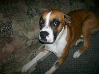 Diego