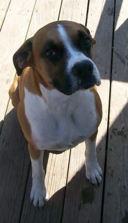 Diego