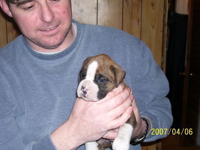 Diesel 3 weeks