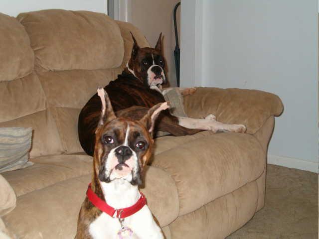Diesel and Daisy