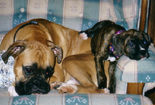 Diesel and Reese