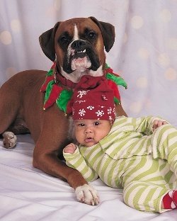 Diesel and the baby2