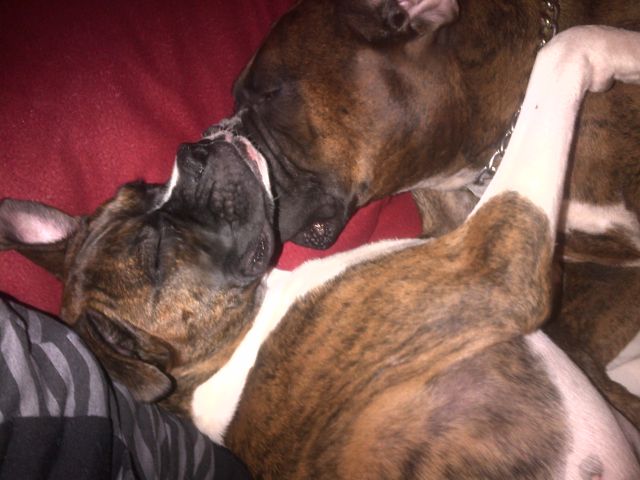 Diesel & Roxy
