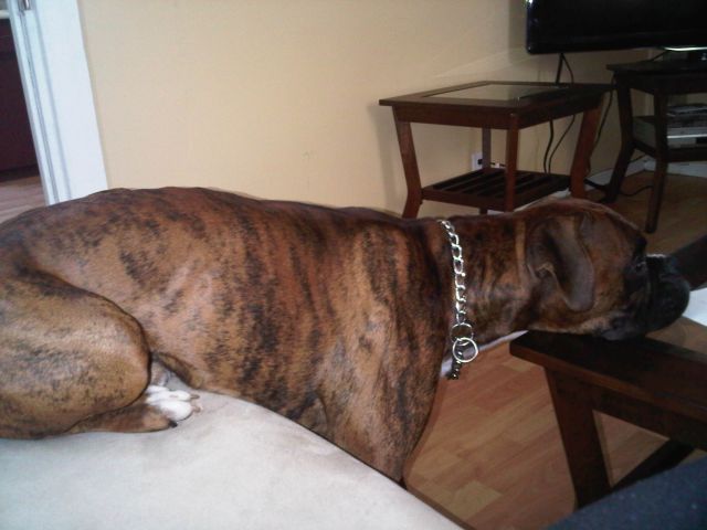 Diesel