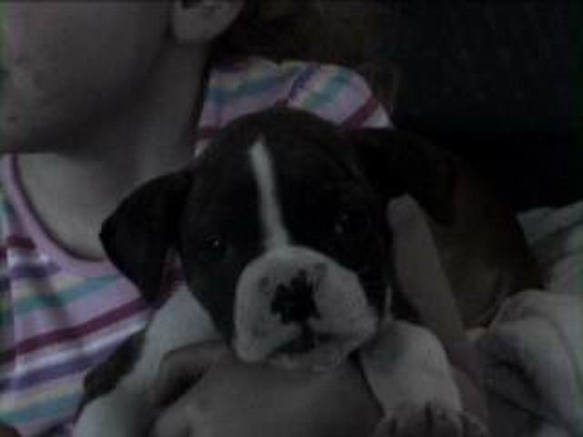 Diesel_jess