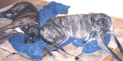 Dieter & Ruggie