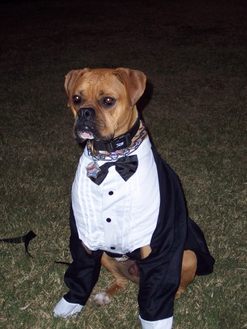 Dillon in his tux.  Halloween 2005