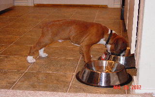 Dinner Time