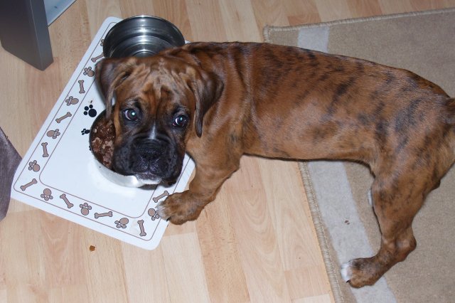 Dinner time