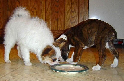 Dinnertime With Friend!