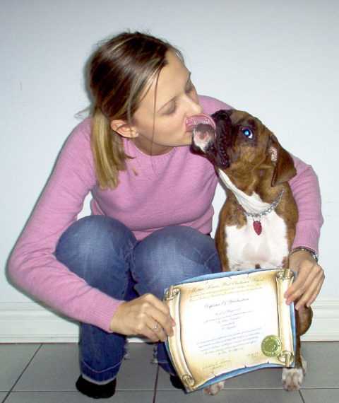 Diploma