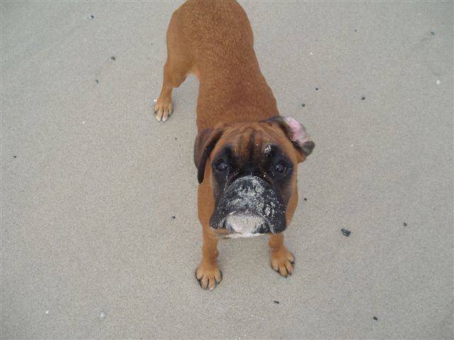 Dirty face!