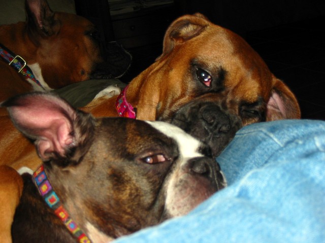 Disturbing our beauty sleep