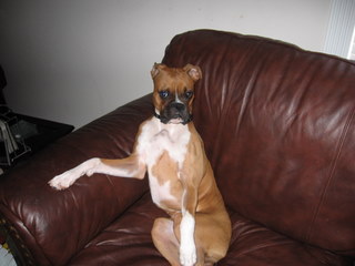 Divine Miss Lucy