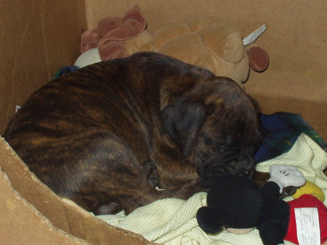 DJ Sleeping