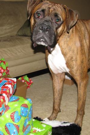Do I have any more presents to open?