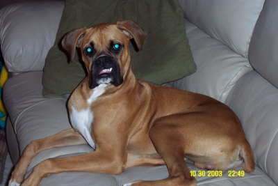 Do I have something in my teeth?