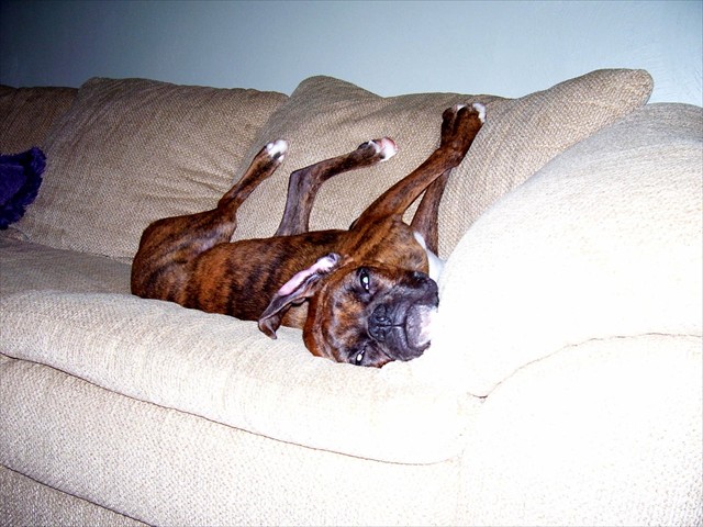 Do I have to get down?