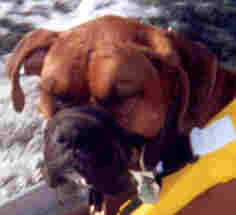 Do I have to wear this lifejacket?