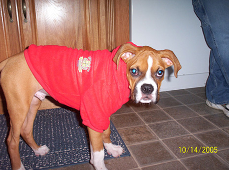 Do I have to wear this?