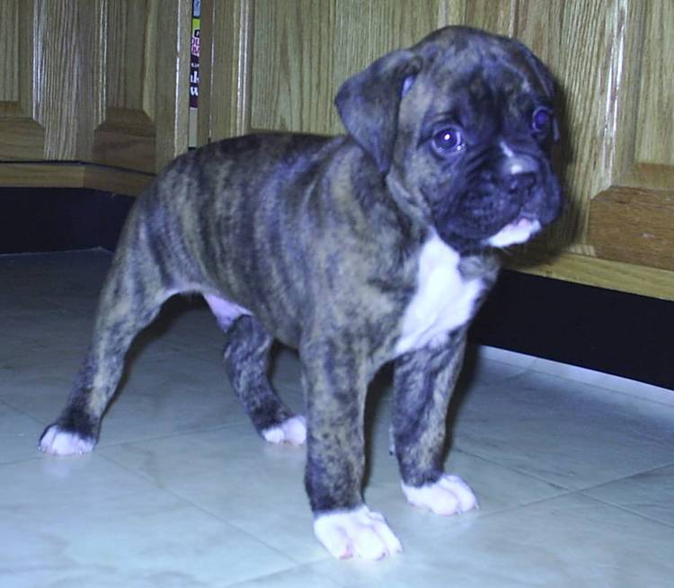 Do I look handsome Mom?