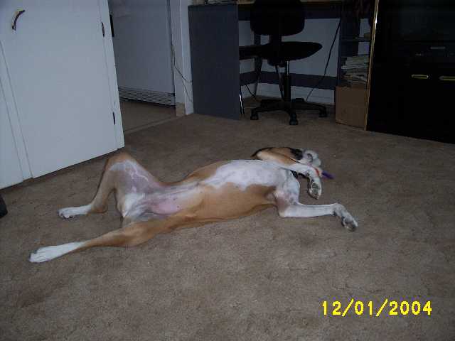Do I look relaxed yet?