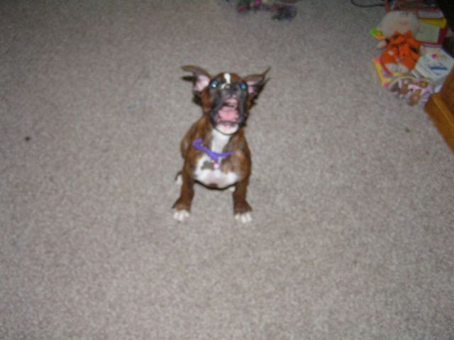 Do I really look like a Gremlin?