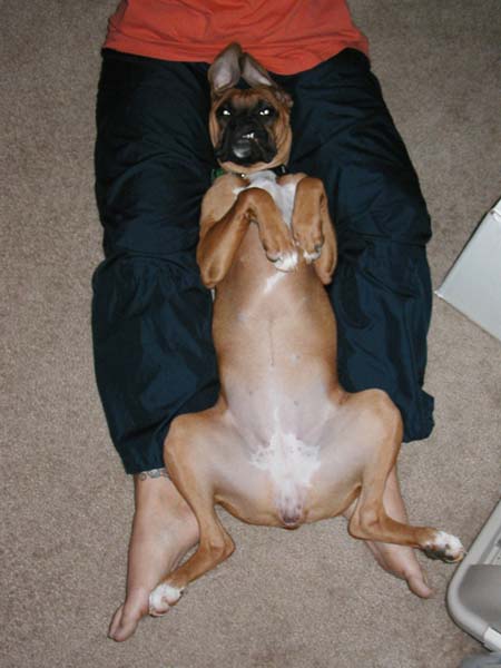 Do Not Disturb!