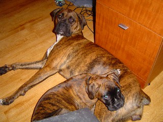Do we have to get up?