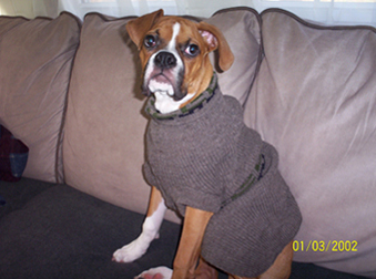 Do you like my 'Cosby Sweater'?