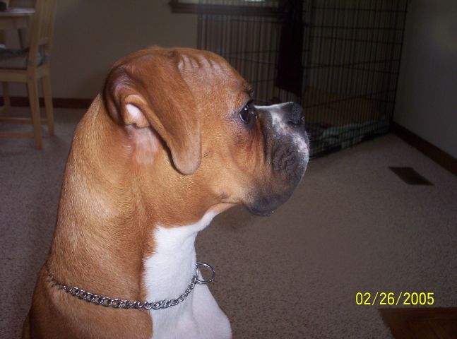 Do you like my profile?
