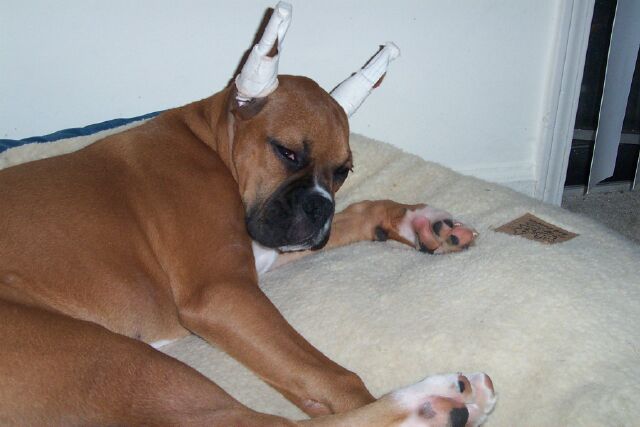 Do you mind....I am trying to sleep!!