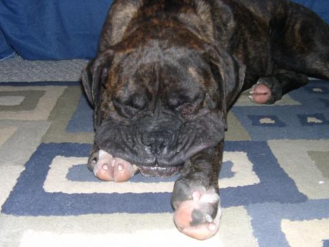 Do you think my lip is big???