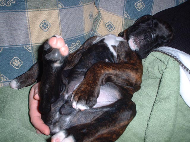"Does this look comfortable or what!?"