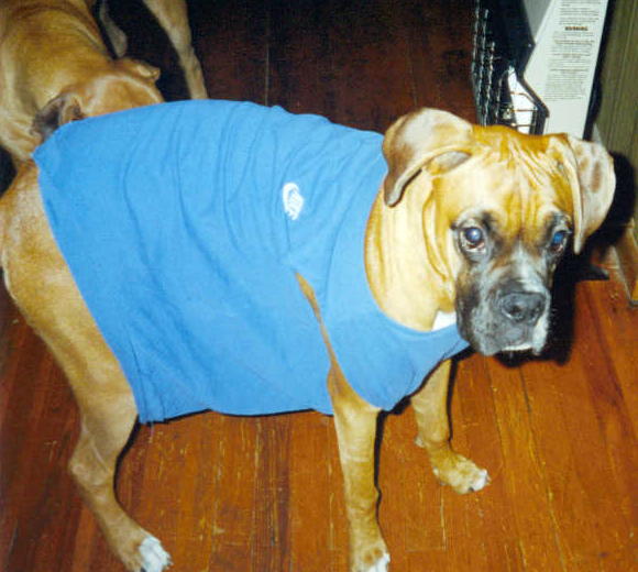 Does this make me look fat?