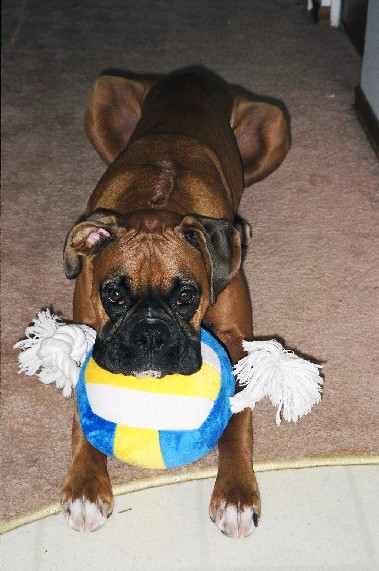 Doesn't anyone want to play?