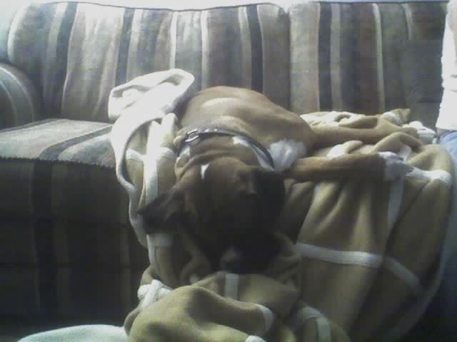 Doesn't everyone sleep like this