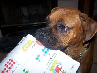 Dog Ate My Homework