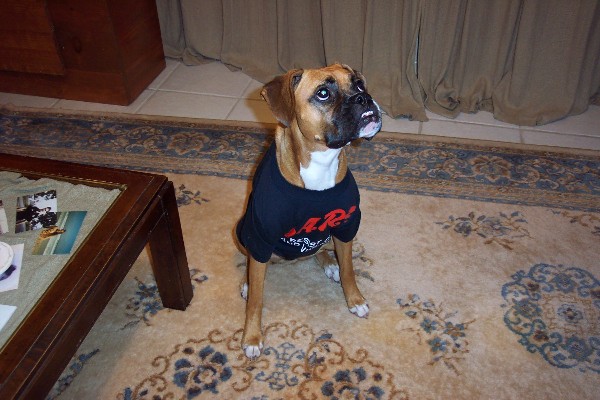 Dog with a cause!
