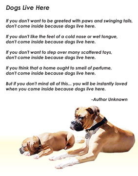 Dogs Live Here