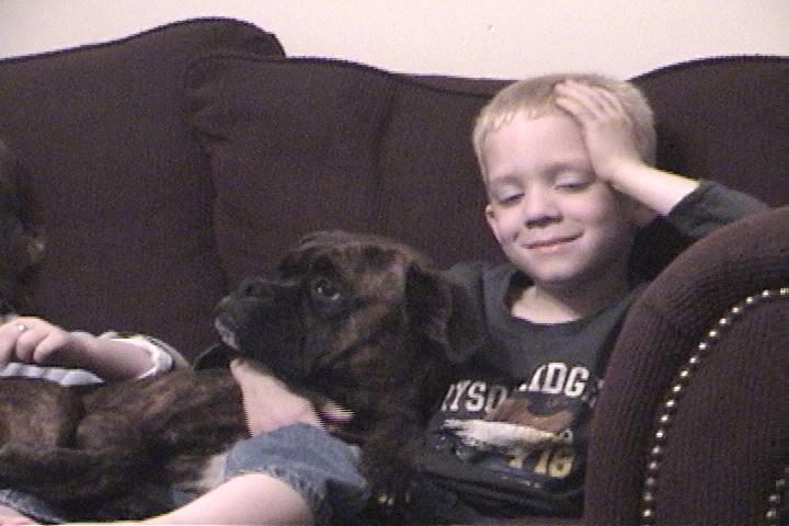 dogs_014