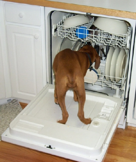 Doin' Dishes