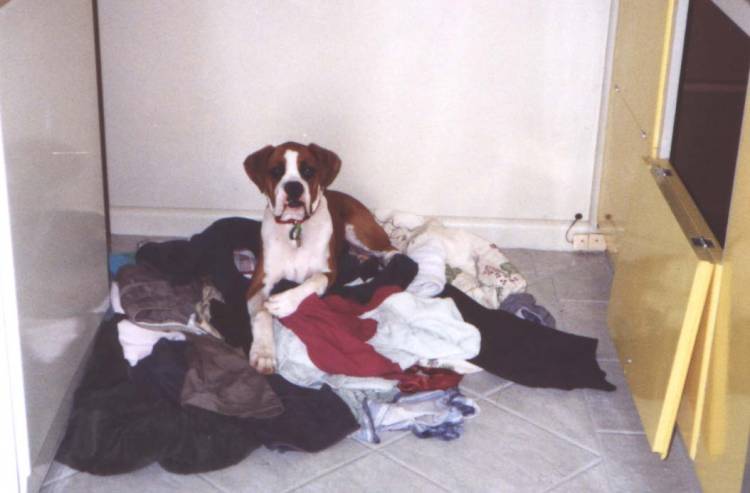 Doin The Laundry