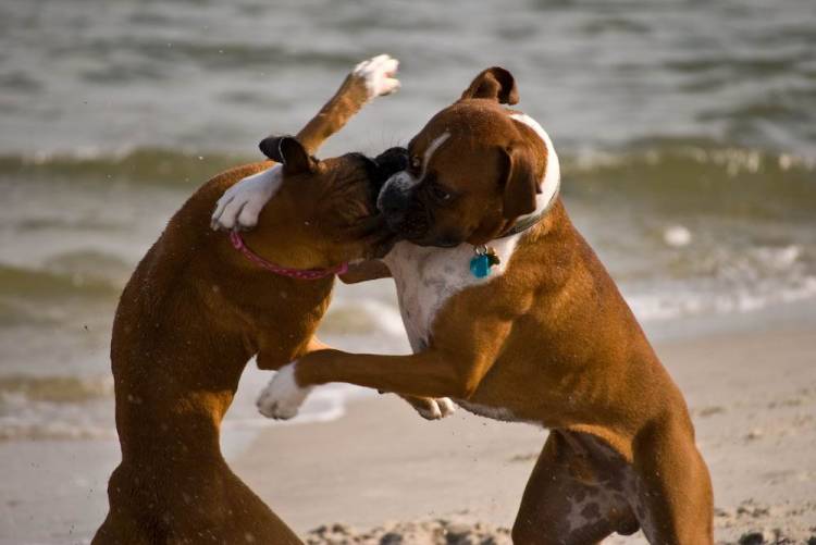 doin what they do...