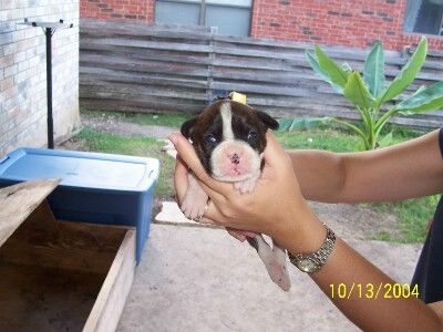 Doja 2 weeks old