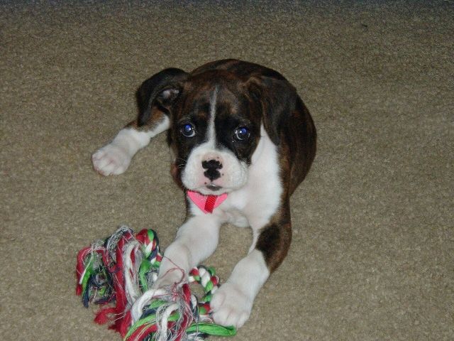 Doja playing with her rope.....