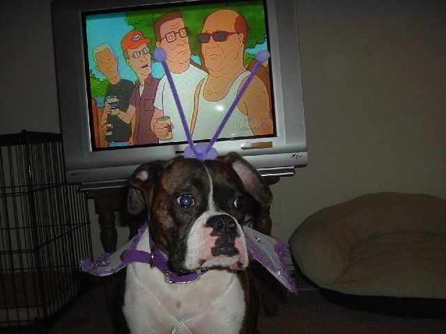 Dojas 1st Halloween Costume