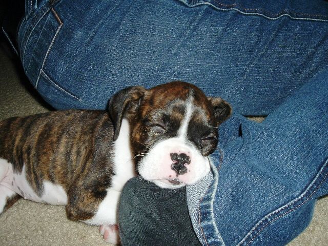 Doja's Finally Home! 1st day