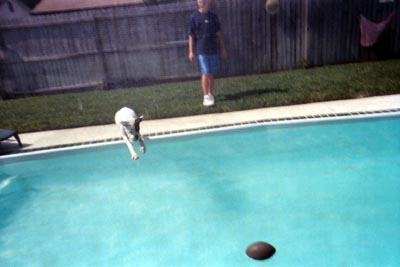 Domino jumping for the ball