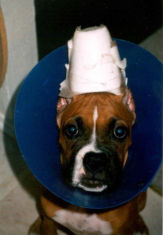 Don't be jealous of my hat...